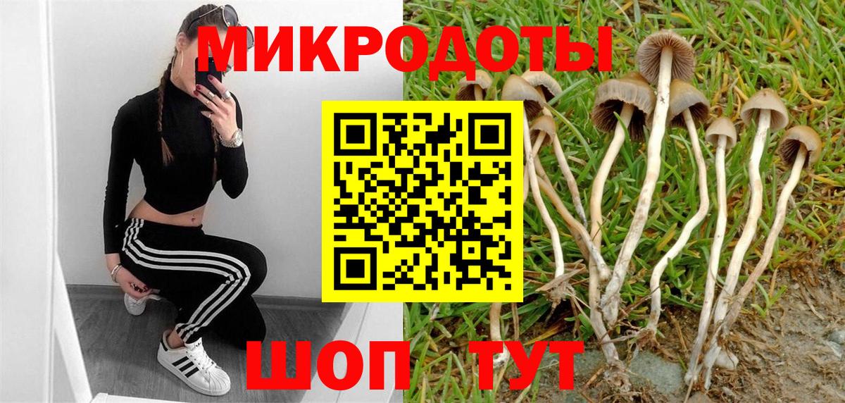 Галлюциногенные грибы MAGIC MUSHROOMS Абинск