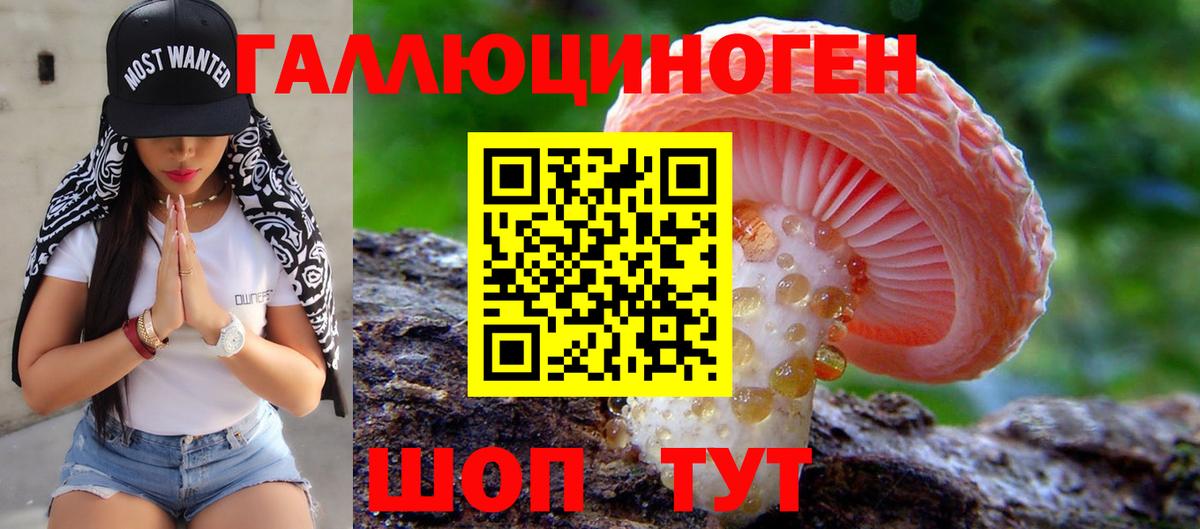 Псилоцибиновые грибы Cubensis  Вход с VPN  Абинск 